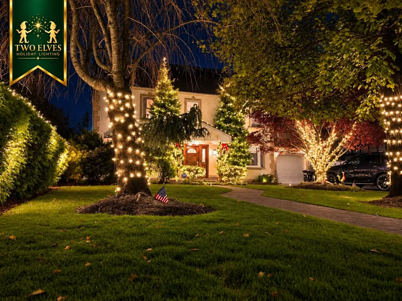 Wrapped tree trunks, lit evergreens and garden lighting framing a home's entry